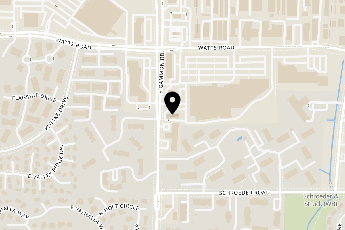 Map showing the location of Domino's Pizza Madison – S Gammon Rd on 737 S Gammon Rd in Madison